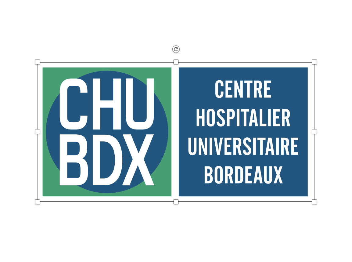 Logo CHU Bordeaux